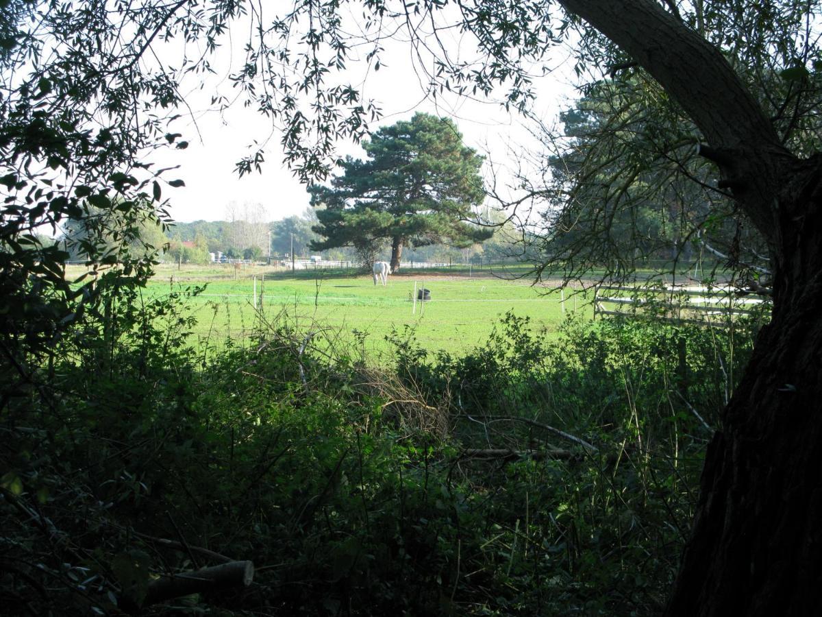 Fuglevaenget Hundested