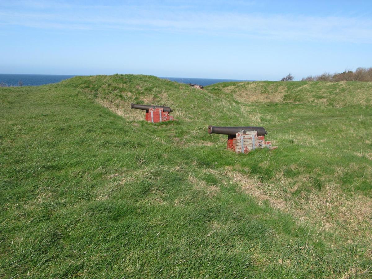 Fuglevaenget *