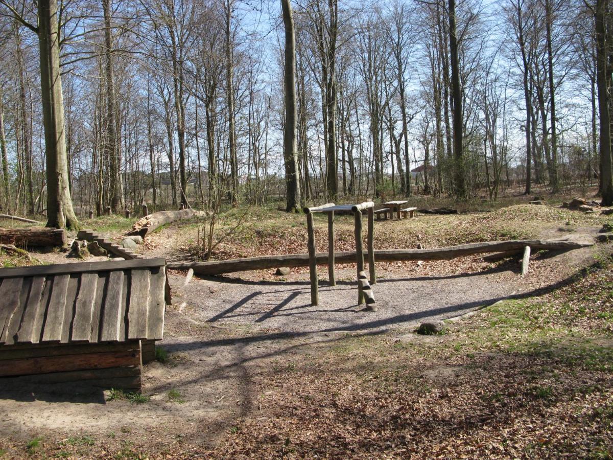 Fuglevaenget